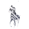 Logo Polo